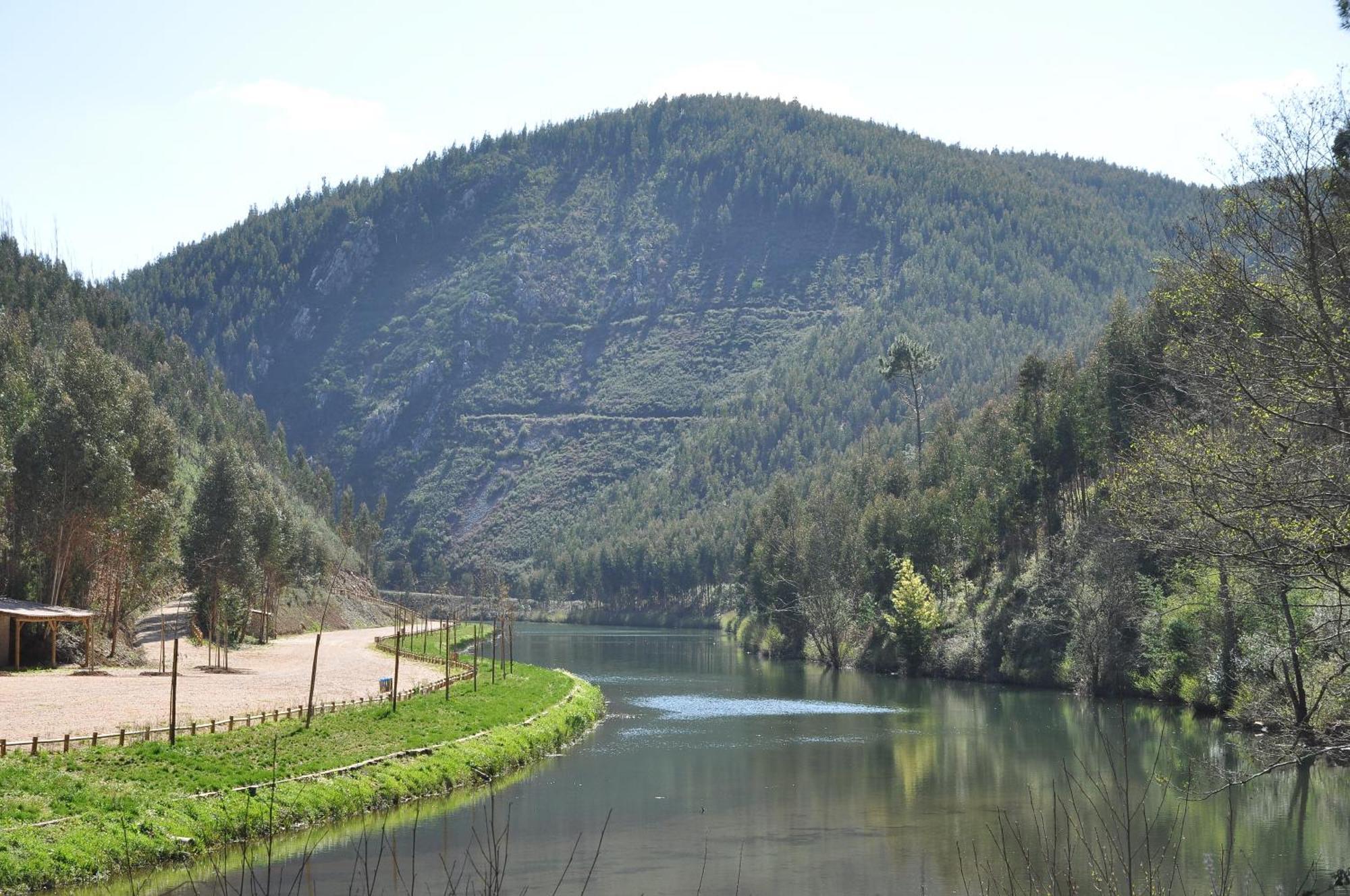 Hotel Rural Solar Das Freiras Figueiro Dos Vinhos Dış mekan fotoğraf