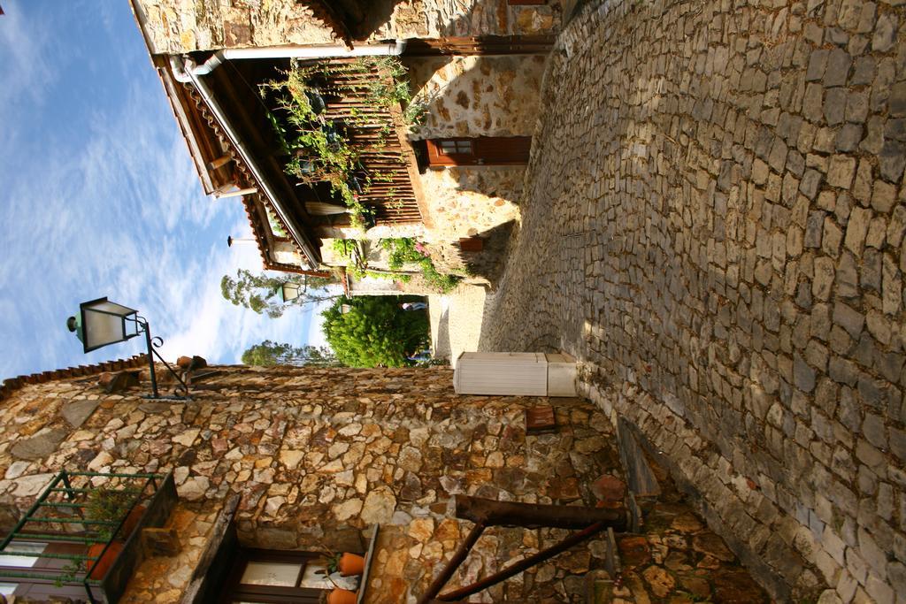 Hotel Rural Solar Das Freiras Figueiro Dos Vinhos Dış mekan fotoğraf